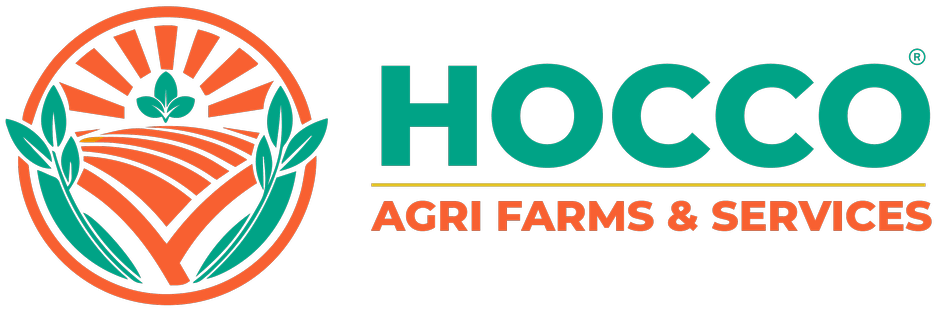 Hocco Foods